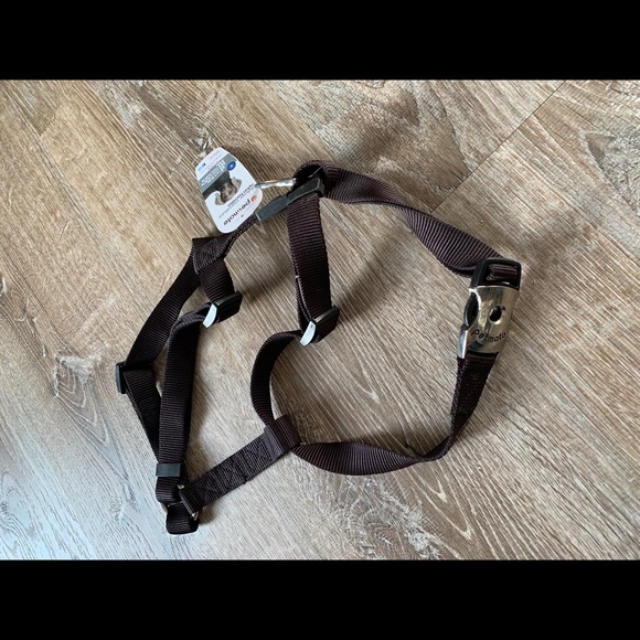 petmate dog harness